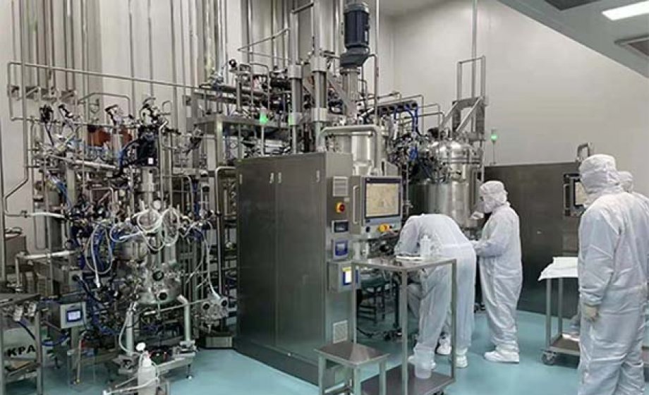 SAT d'un bioréacteur de fermenteur à agitation magnétique automatique en Corée