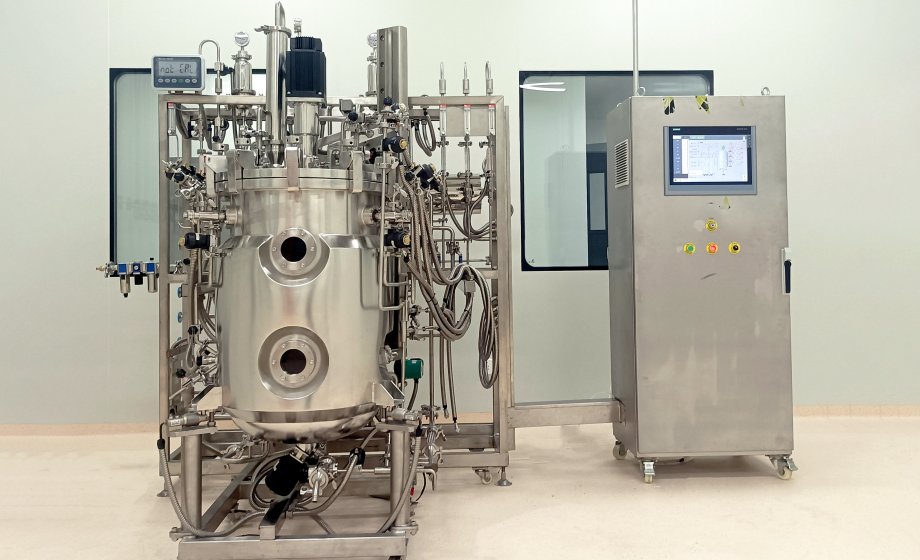 Bioréacteur de cellules de mammifères Innova de 150 litres installé en Égypte